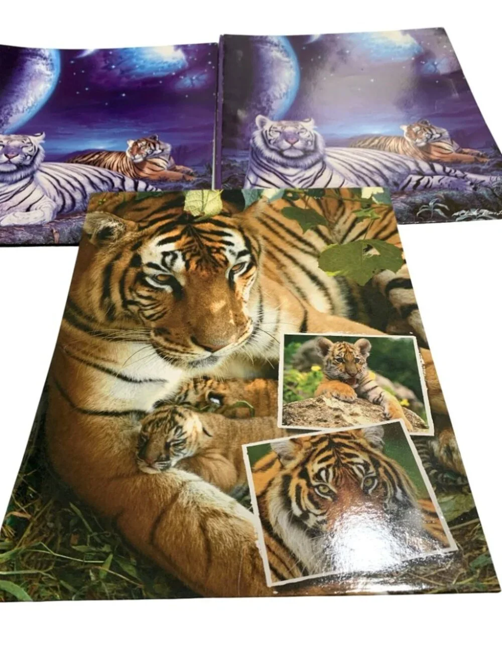 Vintage 2 Mead Christian Riese Lassen Tiger Theme Pocket Folders and 1 Class Act
